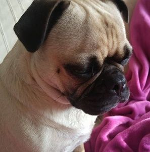 Meet your Posher, Erin